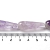 Natural Amethyst Beads Strands G-P528-H15-01-5