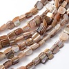 Natural Sea Shell Beads S00C50A2-1