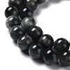 Natura Hawk's Eye Beads Strands G-D0001-22B-8mm-01-2