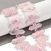 Natural Rose Quartz Double Terminated Point Beads Strands G-H069-B17-01-2
