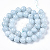 Natural Chalcedony Beads Strands G-S333-10mm-004-2