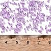 Transparent Inside Colours Glass Seed Beads SEED-H003-04E-4