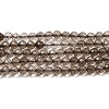 Natural Smoky Quartz Beads Strands G-E608-A04-1