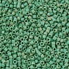 MIYUKI Delica Beads SEED-X0054-DB0877-3