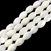 Natural Trochus Shell Beads Strands X-BSHE-E030-02C-2