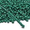 TOHO 6/0 Round Beads X-SEED-TR06-0055D-2