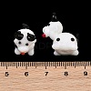 Handmade Lampwork Beads LAMP-I024-29-6