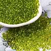 Transparent Colours Glass Seed Beads X1-SEED-P006-02A-04-1
