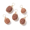 Natural Rudraksha Copper Wire Wrapped Pendants PALLOY-JF02066-02-1