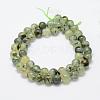 Natural Prehnite Beads Strands G-P322-48-12mm-3