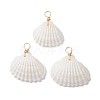 Natural Ark Shell Pendants PALLOY-JF02679-01-1