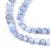 Dyed Natural Trochid Shell/Trochus Shell Beads Strands SSHEL-T017-13A-3