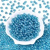 Transparent Glass Seed Beads SEED-N007-33B-09-2