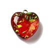 Transparent Resin Pendants RESI-F035-02D-1