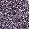 MIYUKI Round Rocailles Beads SEED-X0054-RR0437-3