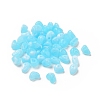 Acrylic Beads OACR-C013-09E-1