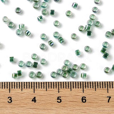 Glass Seed Beads X-SEED-S042-13A-18-1