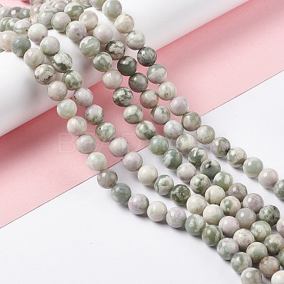 Natural Peace Jade Beads Strands G-G905-07-1