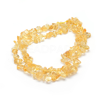 Natural Citrine Beads Strands G-P332-51-1
