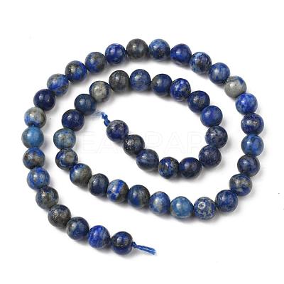 Natural Lapis Lazuli Bead Strands G-G953-01-8mm-1