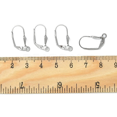 Tarnish Resistant 304 Stainless Steel Leverback Earring Findings X-STAS-E007-2-1