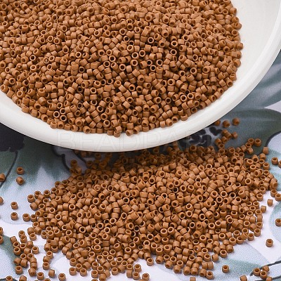 MIYUKI Delica Beads SEED-MY11-DB2287-1
