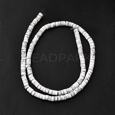 Dyed Synthetic Turquoise Beads Strands G-Z089-A04-B-1