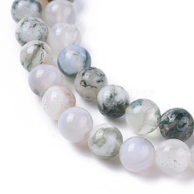 Natural Tree Agate Beads Strands G-L533-22-1