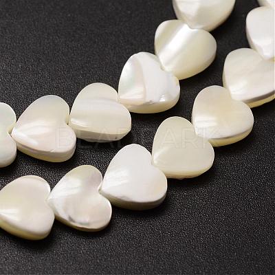 Natural Trochid Shell/Trochus Shell Beads Strands SSHEL-K012-04-1