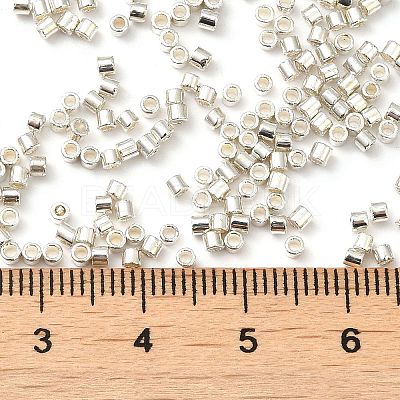 Electroplate Glass Seed Beads X-SEED-S042-01B-08-1
