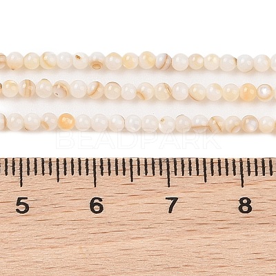 Natural Freshwater Shell Beads Strands SHEL-T011-02-4mm-1
