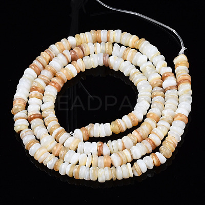 Natural Freshwater Shell Beads Strands SHEL-S278-067-1