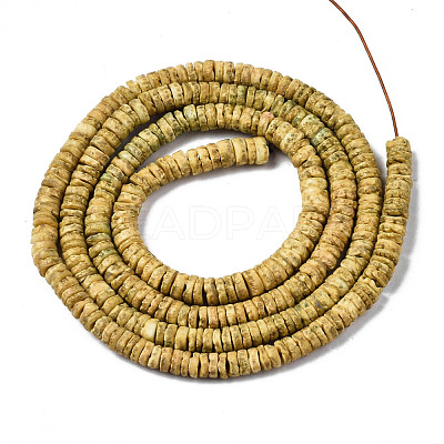 Natural Sea Shell Beads Strands SSHEL-N032-22-1