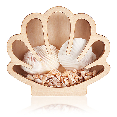 Shell Shaped Wooden Sea Shell Storage Display Cases with Visible Window ODIS-WH20012-01-1