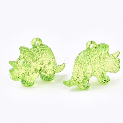Transparent Acrylic Pendants TACR-S133-112-1