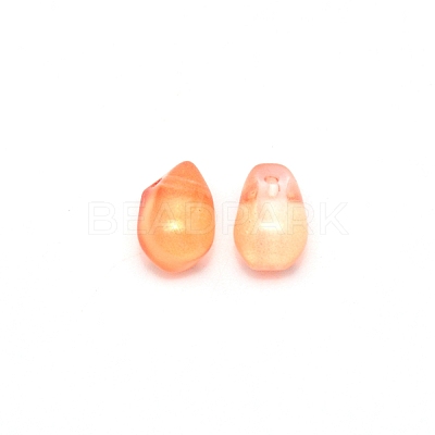 Handmade Lampwork Charms LAMP-CJC0006-04-1