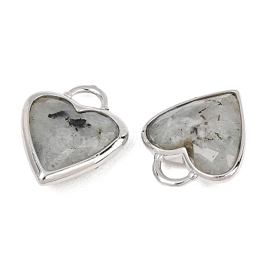 Natural Labradorite Faceted Pendants G-Z154-01P-07-1