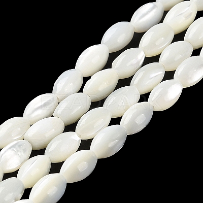 Natural Trochus Shell Beads Strands X-BSHE-E030-02C-1