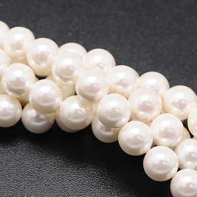 Shell Pearl Beads Strands X-BSHE-E008-12mm-12-1