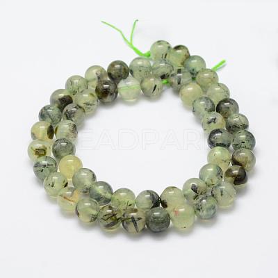 Natural Prehnite Beads Strands G-P322-48-12mm-1