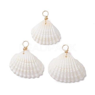 Natural Ark Shell Pendants PALLOY-JF02679-01-1
