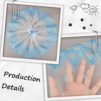 6M Lace Trim OCOR-GF0004-94B-07-1