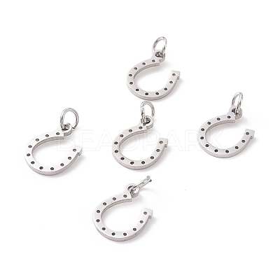 Tarnish Resistant 304 Stainless Steel Charms STAS-S105-T519S-1