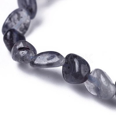 Natural Iolite/Cordierite/Dichroite Bead Stretch Bracelets BJEW-K213-41-1