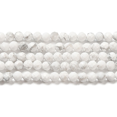 Natural Howlite Beads Strands G-E608-A01-B-1