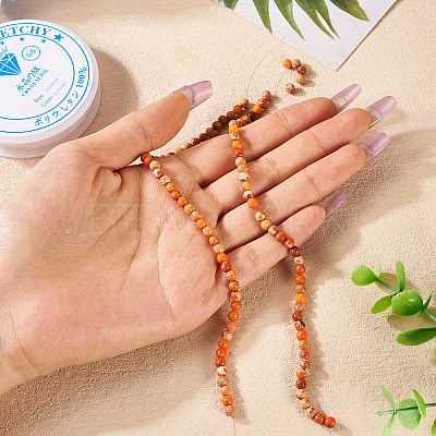 DIY Natural Regalite/Imperial Jasper/Sea Sediment Jasper Beads Bracelets Making KIts DIY-TA0002-69B-1