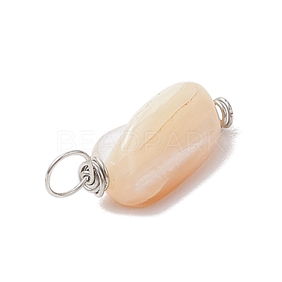 Natural Seashell Nuggets Charms PALLOY-JF02841-1