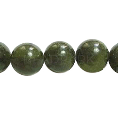 Olive Z0NCT015-1