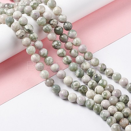 Natural Peace Jade Beads Strands G-G905-07-1