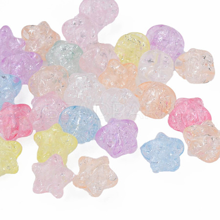 Transparent Crackle Acrylic Beads CACR-N006-13-A01-1